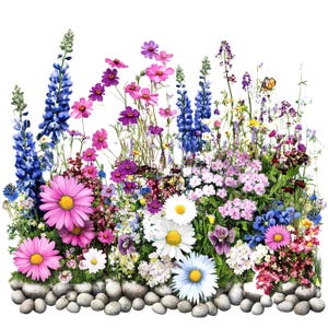 16 PNG Wildblumen Blumenbeet Clipart 2, Wildblumen, druckbare Aquarell Clipart, transparente PNGs, digitaler Download, Papiermodell, Journal