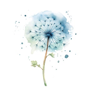 12 één paardebloem clipart, botanische paardebloem, afdrukbare aquarel clipart, hoge kwaliteit jpg's, digitale download, Paper Craft, ongewenste tijdschriften