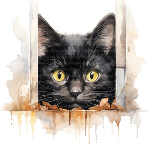 May include: A black cat with yellow eyes peeks out from behind a wooden door. The cat is painted in a watercolor style with brown and orange accents.