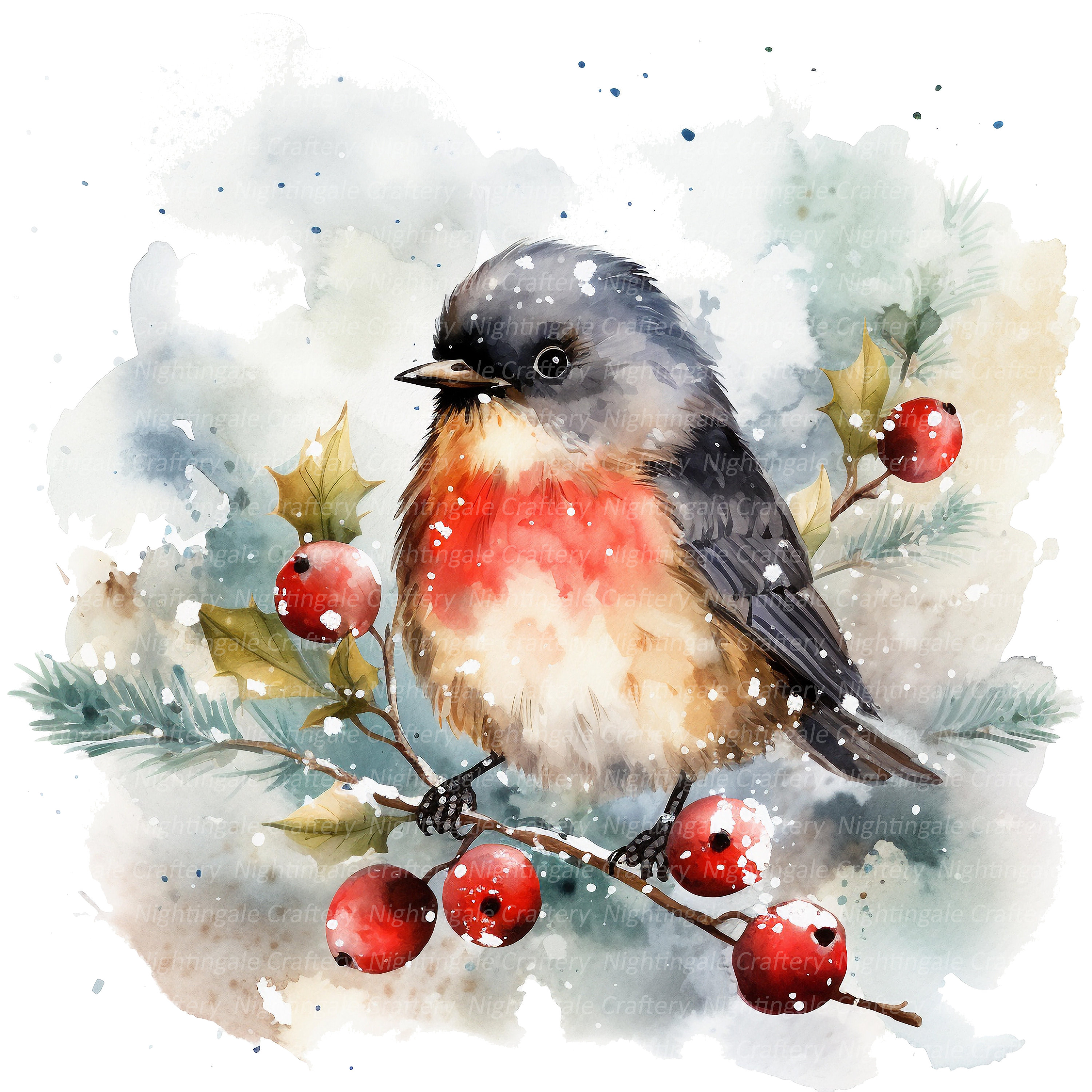 12 Special Christmas Robin Clipart, Printable Watercolor Clipart, High ...