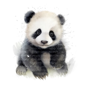 12 Panda Baby Clipart, clipart em aquarela para impressão, JPGs de alta qualidade, download digital, alta resolução, artesanato em papel, diários indesejados