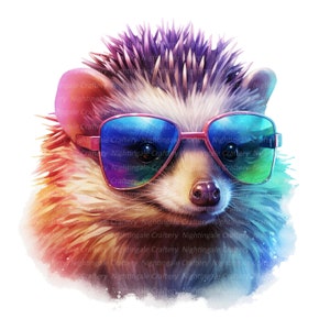 8 Cool Hedgehog, Disco Hedgehog Clipart, clipart em aquarela para impressão, JPGs de alta qualidade, download digital, artesanato em papel, diários indesejados