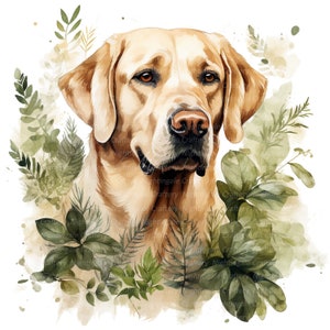 Może przedstawiać: Aquarela przedstawiająca psa rasy golden retriever otoczonego zielonym listowiem. Pies patrzy w lewo od obrazu.