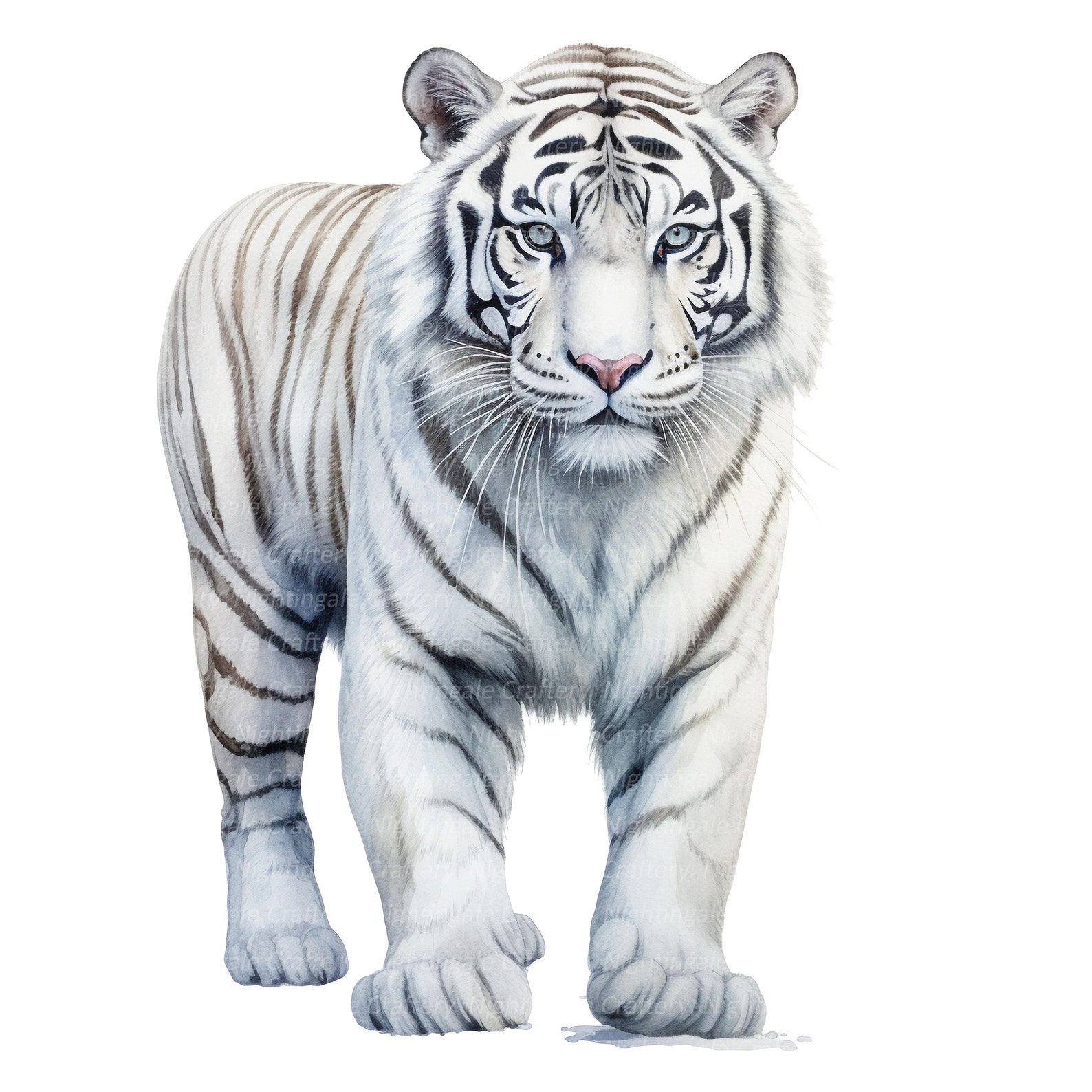 10 White Tiger Clipart, Watercolor Tiger, Printable Watercolor Clipart ...