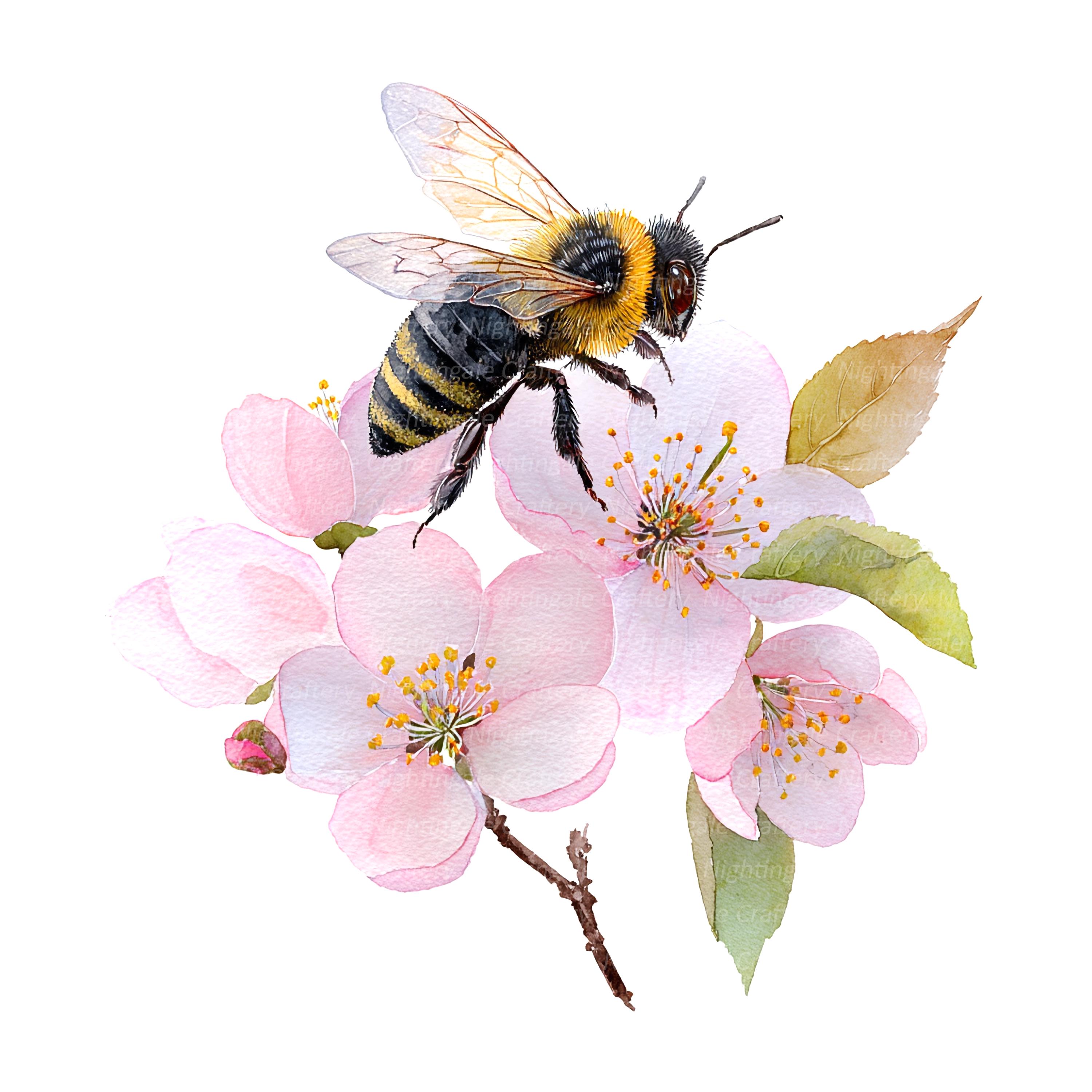 16 Bees in Flowers Clipart, Floral Bee Clipart, Printable Watercolor ...