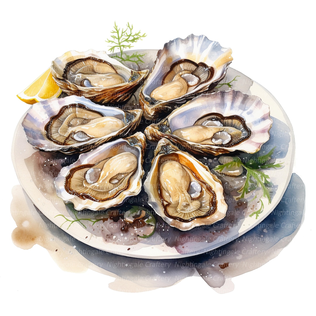 10 Oysters Clipart, Seafood Clipart, Printable Watercolor Clipart, High ...