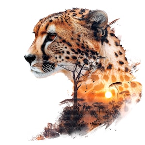 8 Cheetah Wall Art, Cheetah Photo, Printable Wall Art, High Quality JPGs, Digital download, High resolution, T-shirt design, Sublimation
