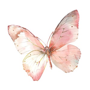 12 Pink Golden Butterfly Clipart, Wall Print, Printable Watercolor ...