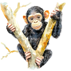 8 Clipart di scimmie carine, piccolo scimpanzé, clipart di acquerelli stampabili, JPG di alta qualità, download digitale, sublimazione, lavoretti di carta