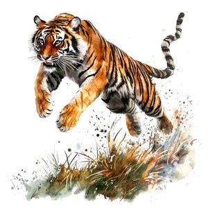 10 Angry Tiger Clipart, Tiger Attack, Printable Watercolor clipart, High Quality JPGs, Digital download, High resolution, Paper crafts