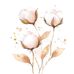 11 katoenplant boeket clipart, kunst aan de muur, hoge kwaliteit PNG/JPG's, afdrukbare aquarel clipart, digitale download, Paper Craft, ongewenste tijdschriften