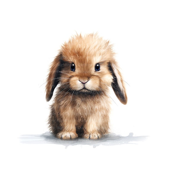 10 Sad Bunny Clipart, Fluffy Rabbit Clipart, Printable Watercolor Clipart,  High Quality Jpgs, Digital Download, Paper Craft, Junk Journal - Etsy