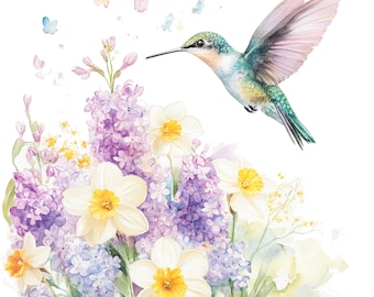 8 Spring Hummingbird Clipart, Colibri Clipart, Printable Watercolor clipart, High Quality PNGs, Digital download, Paper craft, stickers