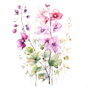 12 cliparts de plantes botaniques, plantes de fleurs sauvages, clipart aquarelle imprimable, PNG de haute qualité, téléchargement numérique, créations en papier, journal indésirable