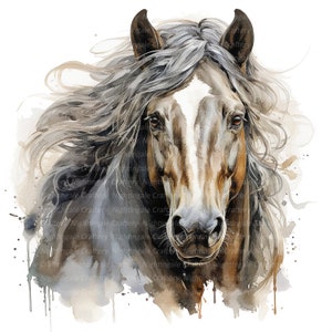 Imágenes prediseñadas de varios caballos, imágenes prediseñadas de acuarela imprimibles, 12 archivos JPG/PNG de alta calidad, descarga digital, manualidades de papel, diarios basura
