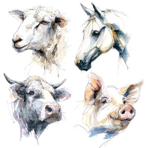 May include: Watercolor illustration featuring four farm animals: a sheep, a horse, a cow, and a pig. The animals are depicted in a loose, expressive style with a focus on their facial features and expressions. The color palette includes whites, grays, and touches of brown.