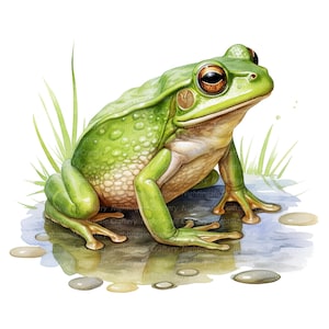 12 Clipart grenouille verte, clipart crapaud, clipart aquarelle imprimable, PNG/JPG de haute qualité, téléchargement numérique, créations en papier, journaux indésirables