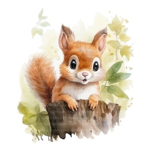 12 schattige glurende eekhoorn baby clipart, afdrukbare aquarel clipart, hoge kwaliteit JPG/PNG's, Digitale download, Hoge resolutie, Papierkunst