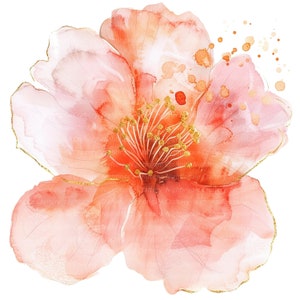 12 Imágenes prediseñadas abstractas de flores de color rosa melocotón, imágenes prediseñadas de acuarela imprimibles, JPG de alta calidad, descarga digital, artesanía de papel, diarios basura