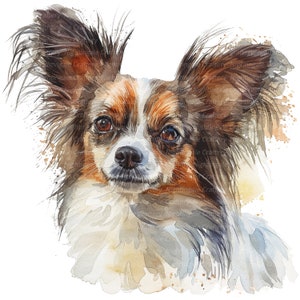12 Papillon Dog Clipart, Imágenes Prediseñadas de acuarela imprimible, JPG de alta calidad, Descarga digital, Artesanía de papel, diario basura, Impresión de perro Papillon
