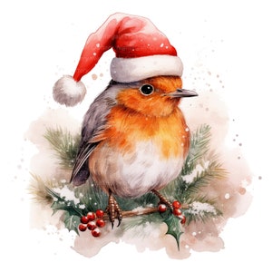 10 clipart de Robin de Natal com chapéu, clipart em aquarela para impressão, JPGs de alta qualidade, download digital, artesanato em papel, diários indesejados