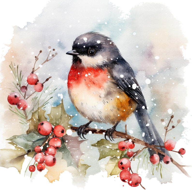 12 Special Christmas Robin Clipart, Printable Watercolor Clipart, High ...