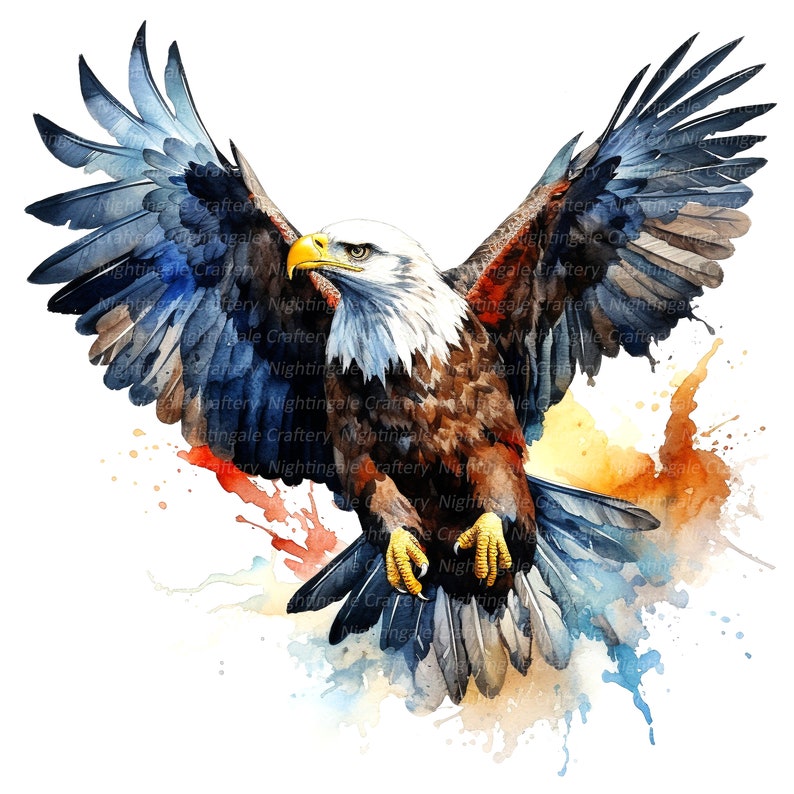 12 Eagle Clipart Bald Eagle Printable Watercolor Clipart - Etsy