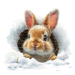 12 Fluffy Bunny in Hole Clipart, Winter Rabbit, Printable Watercolor ...