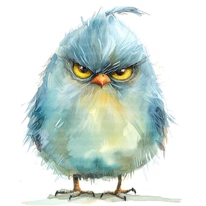 12 PNG grincheux oiseaux Clipart, mignons oiseaux duveteux, clipart numérique, clipart aquarelle, PNG de haute qualité, clipart imprimable, téléchargement numérique