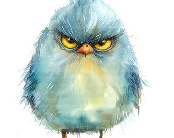 12 PNG Grumpy Birds Clipart, Cute Fluffy Birds, Digital Clipart, Watercolor clipart, High Quality PNG, Printable clipart, Digital download