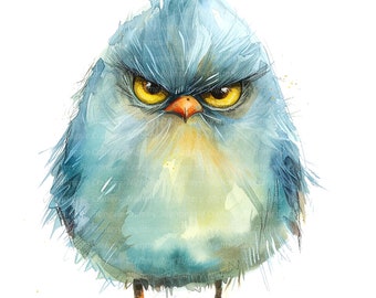 12 Grumpy Birds Clipart, süße flauschige Vögel, digitale Clipart, Aquarell Clipart, hochwertige JPG, druckbare Clipart, digitaler Download