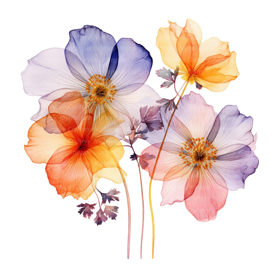 12 Abstract Flowers Clipart, Dried Flowers, Printable Watercolor ...