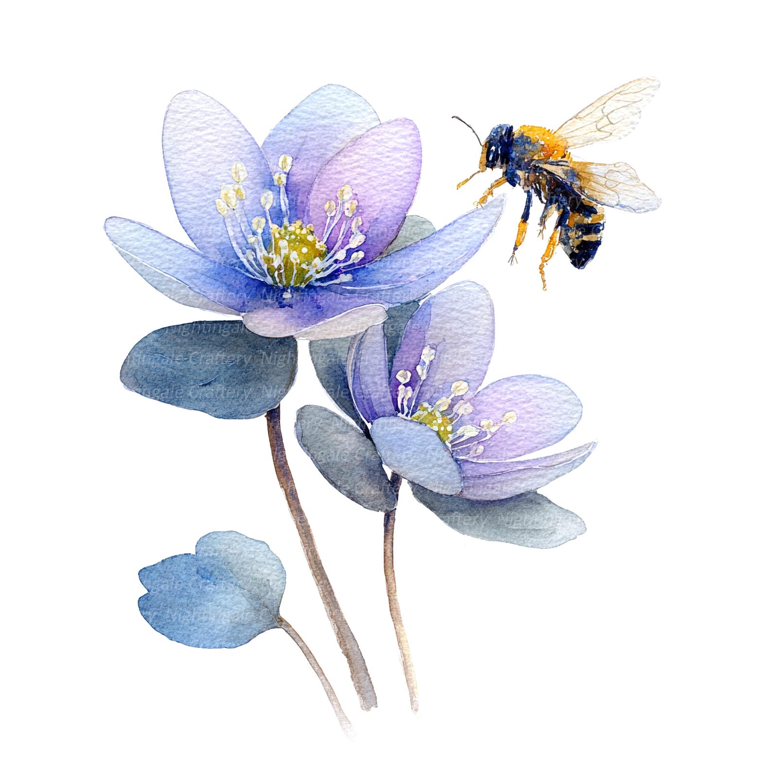 16 Bees in Flowers Clipart, Floral Bee Clipart, Printable Watercolor ...