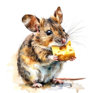 Souris avec fromage Clipart, clipart aquarelle imprimable, PNG de haute qualité, téléchargement numérique, haute résolution, créations en papier, journaux indésirables