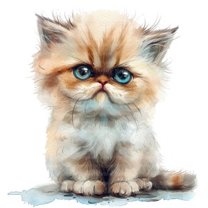 10 Super Grumpy Kitten Clipart, Fluffy Kitten, Afdrukbare aquarel clipart, Hoge kwaliteit JPG's, Digitale Download, Paper Craft, Ongewenste tijdschriften