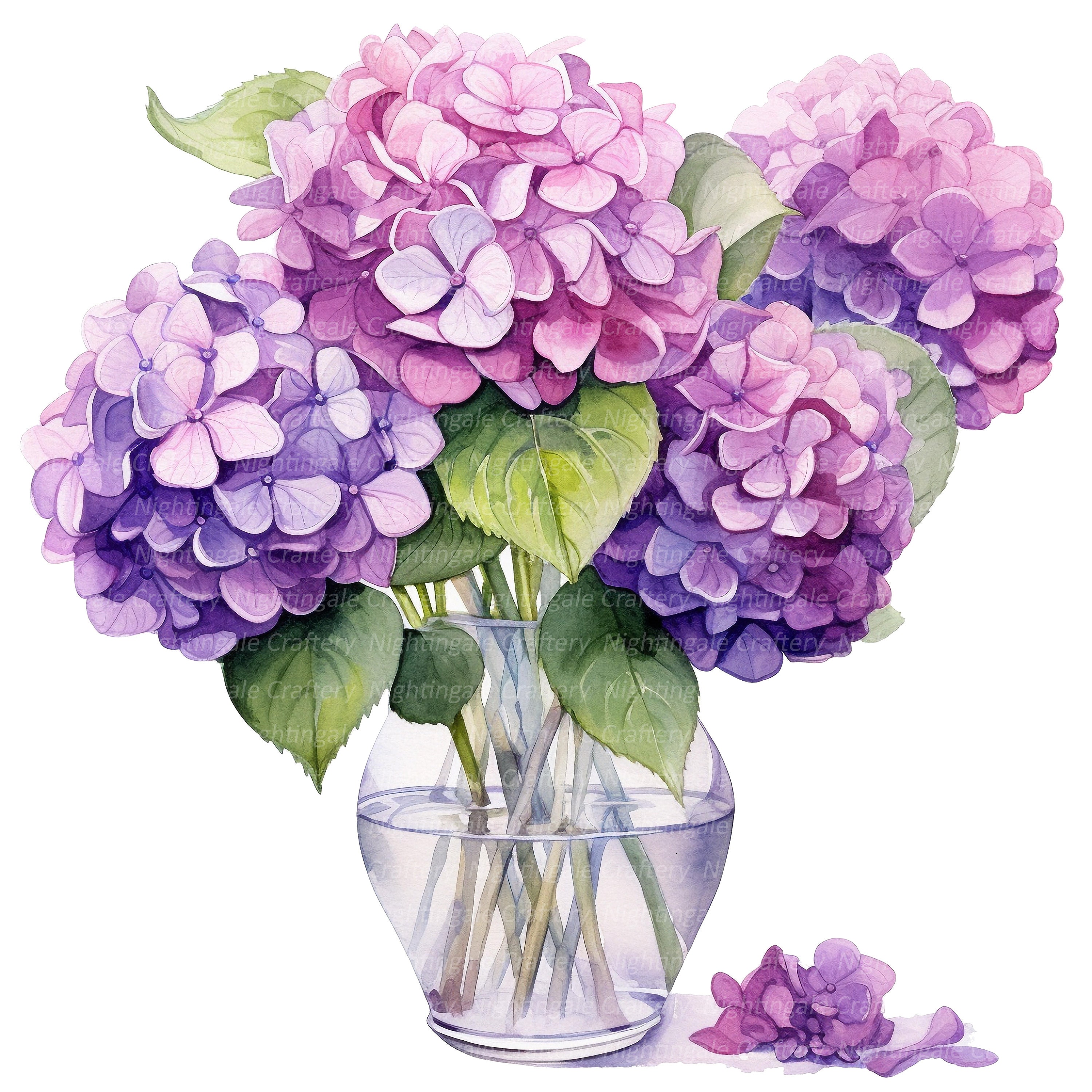 12 Hydrangea in Vase Clipart, Blue Hortensia, Printable Watercolor ...