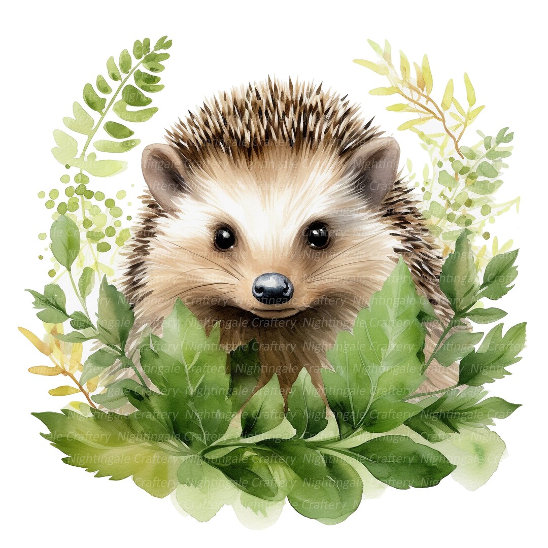 Cute Hedgehog in Greenery Clipart, Printable Watercolor Clipart, 12 ...