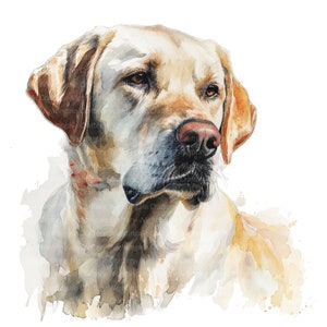 May include: A watercolor painting of a light brown Labrador Retriever dog with a soft, gentle expression. The dog's fur is painted with a light wash of color, creating a soft and dreamy effect.