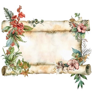 12 vários clipart de papel de rolagem, papel antigo, JPGs de alta qualidade, clipart em aquarela para impressão, download digital, artesanato em papel, registro no diário