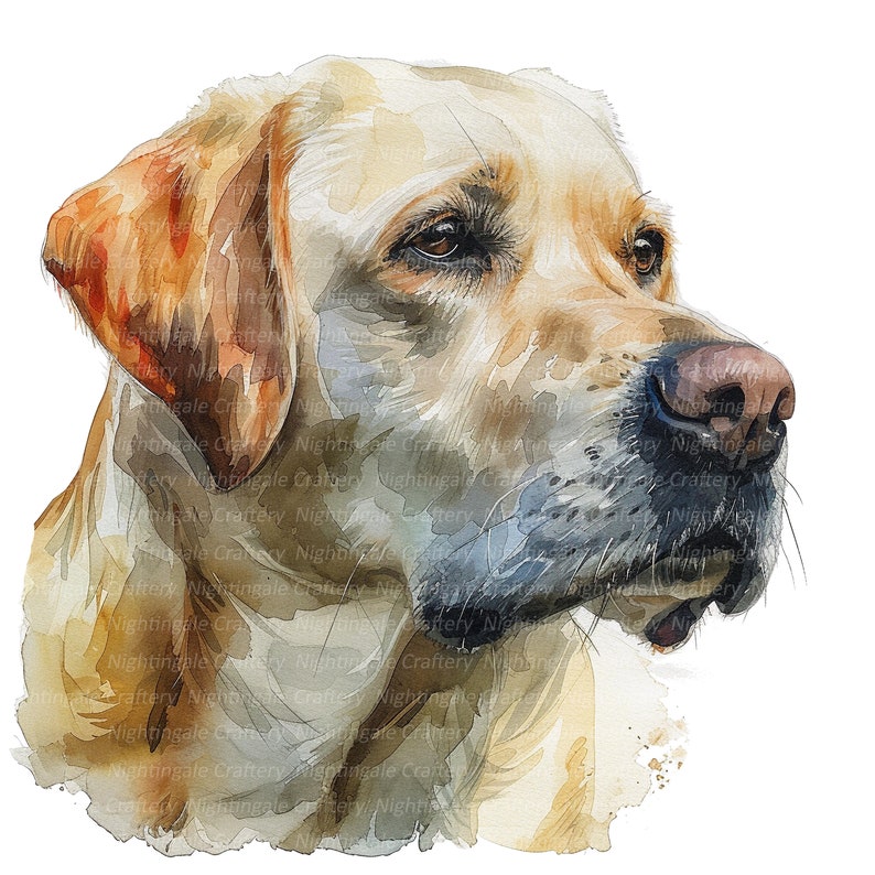 May include: A watercolor painting of a golden retriever dog with a light brown coat and a black nose. The dog is looking to the right of the image.