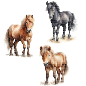 14 Pony Clipart, Realistic Pony Images, Printable Watercolor clipart, 12 High Quality JPGs, Digital download, Paper craft, junk journals