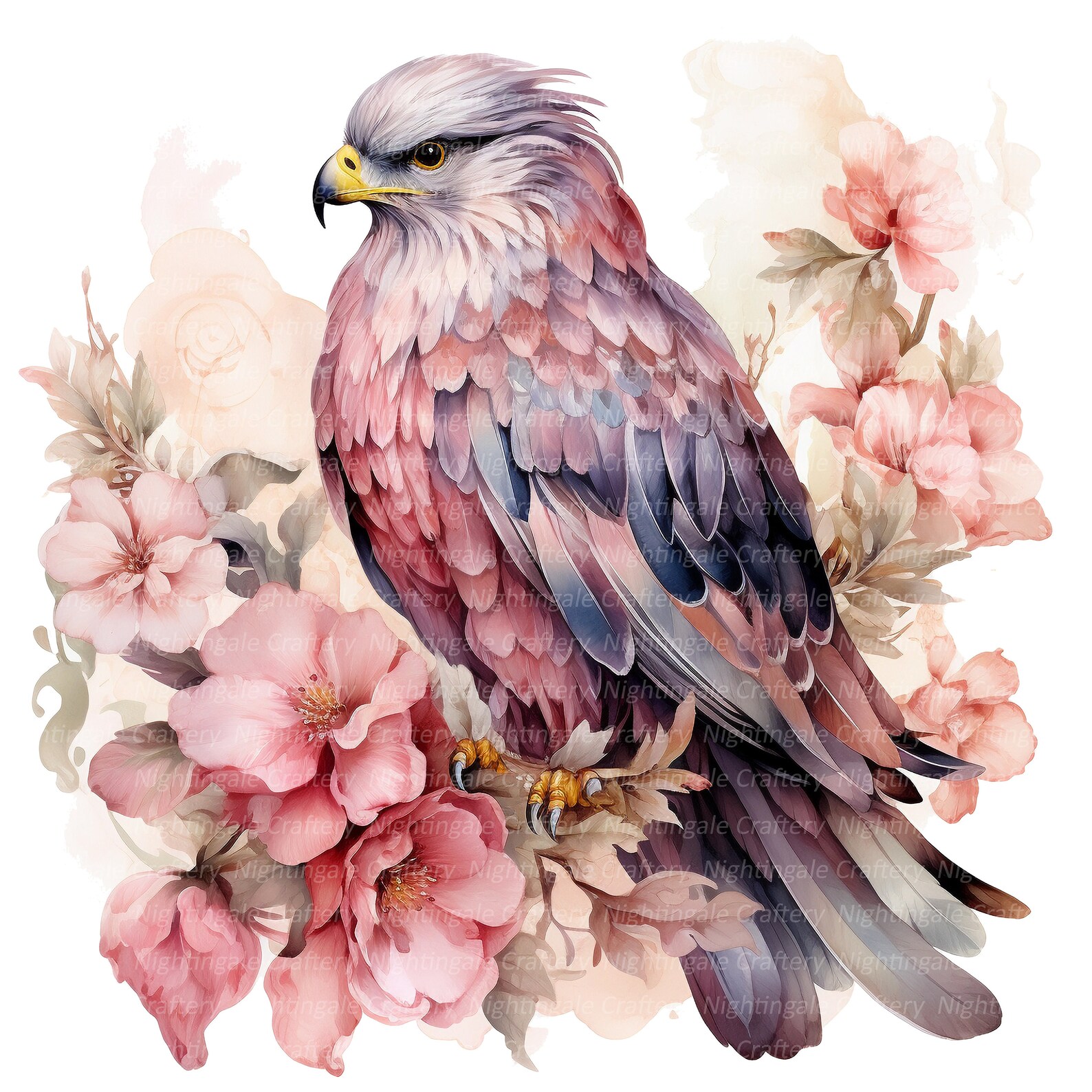 10 Floral Hawk Clipart, Adorable, Digital Clipart, Watercolor Clipart ...