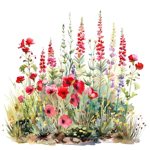 10 cliparts de parterre de fleurs sauvages rouges, Floral, clipart aquarelle imprimable, fichiers JPG de haute qualité, téléchargement numérique, créations en papier, journaux indésirables