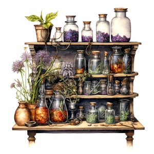 10 Clipart di Witch Apothecary, Stregoneria, Pozione, Clipart acquerello stampabile, JPG di alta qualità, Download digitale, Mestiere di carta, diario spazzatura