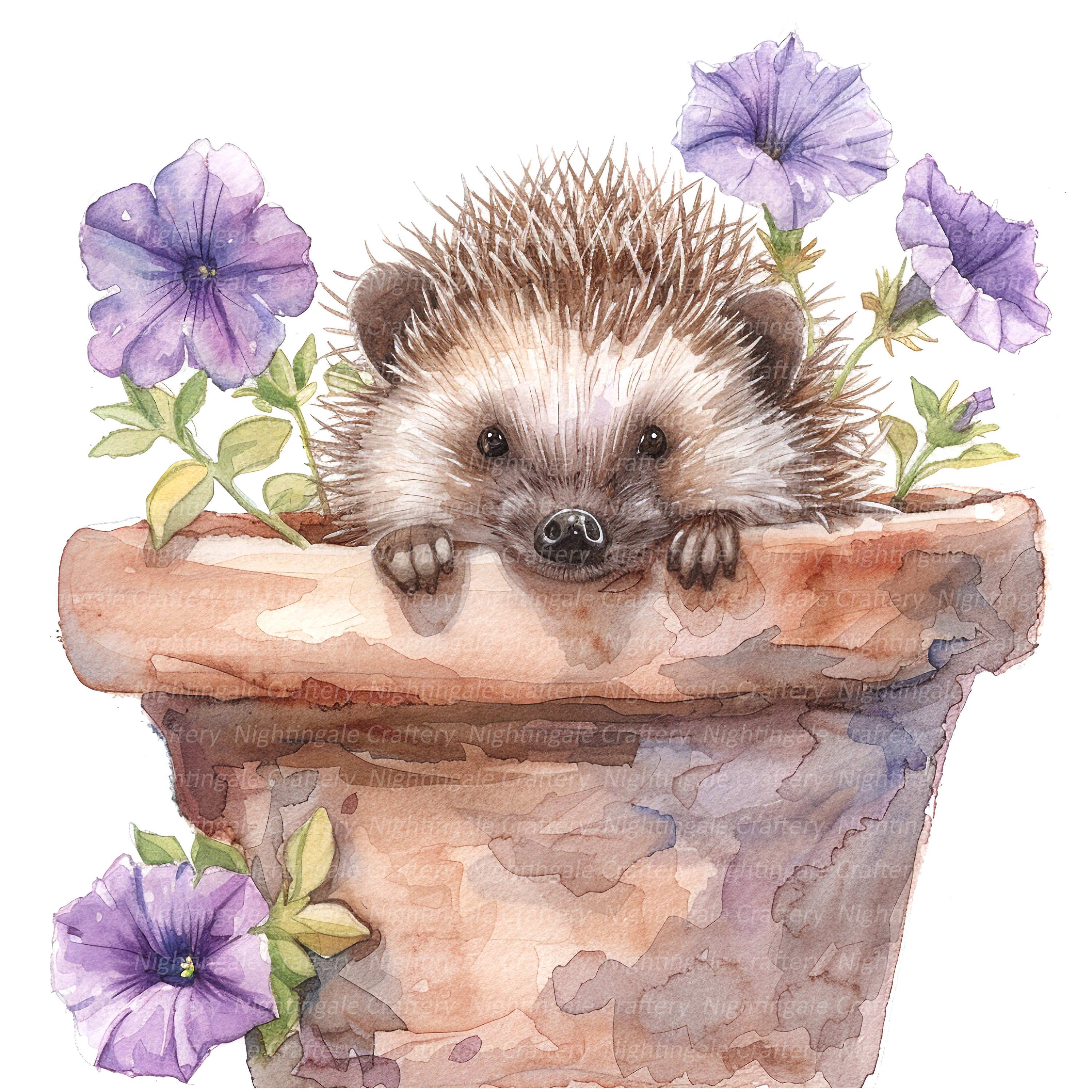Noel Tatt Glückwunschkarte Zum Einzug – Igel Im Blumentopf Mit Silberfolie, 168x125mm, Recycelbar