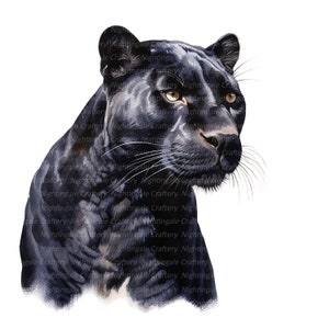 14 imágenes prediseñadas de pantera negra, imágenes prediseñadas de acuarela imprimibles, 14 PNG de alta calidad, descarga digital, alta resolución, manualidades de papel, diario basura