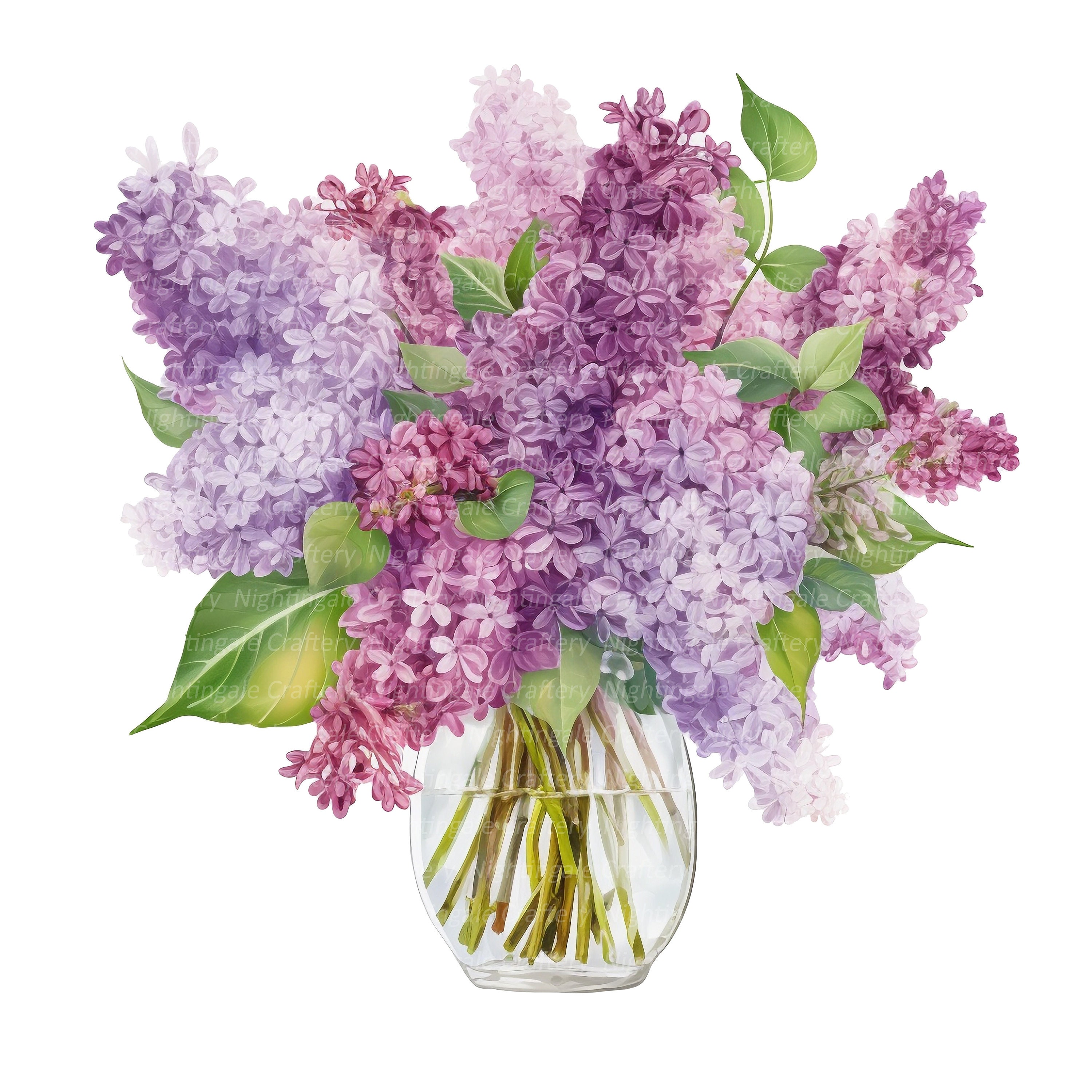 Flieder in vase