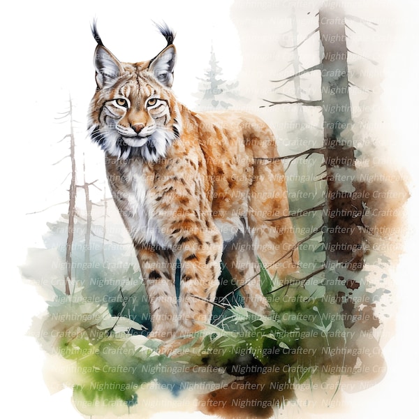 Luchs im Wald Clipart, druckbare Aquarell Clipart, 10 hochwertige JPGs, digitaler Download, hohe Auflösung, Papierhandwerk, Junk Journals