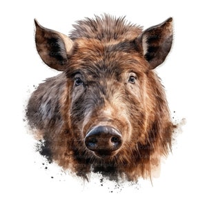 Wild boar Close up Clipart, Printable Watercolor clipart, 8 High Quality JPGs, Digital download, Paper crafts, junk journals