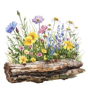 12 Flores silvestres en registro Clipart Set 2, Flores silvestres, Imágenes prediseñadas de acuarela imprimibles, JPG de alta calidad, Descarga digital, Artesanía en papel, revistas